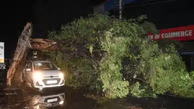 More than 30 people died due to heavy rain and storm in UP in the last 24 hours