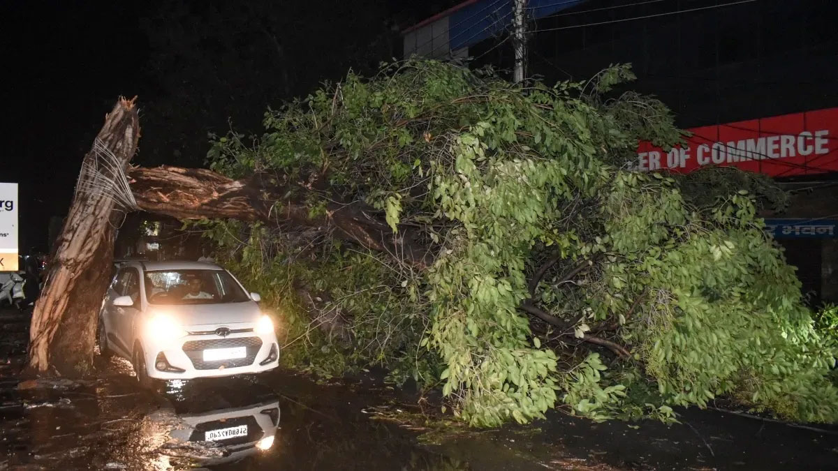 More than 30 people died due to heavy rain and storm in UP in the last 24 hours