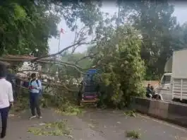 Gujarat: 14 people died due to lightning and heavy rain, IMD released