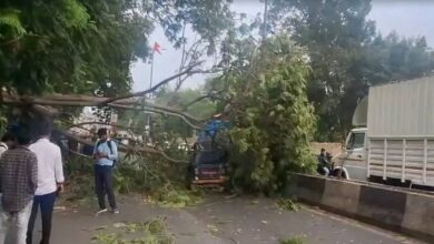 Gujarat: 14 people died due to lightning and heavy rain, IMD released