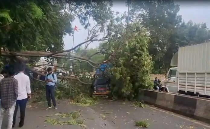 Gujarat: 14 people died due to lightning and heavy rain, IMD released