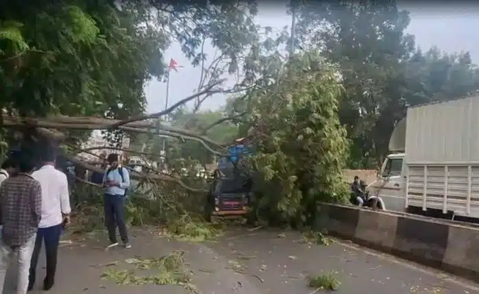Gujarat: 14 people died due to lightning and heavy rain, IMD released