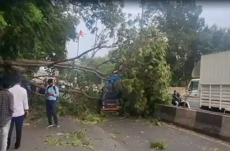 Gujarat: 14 people died due to lightning and heavy rain, IMD released