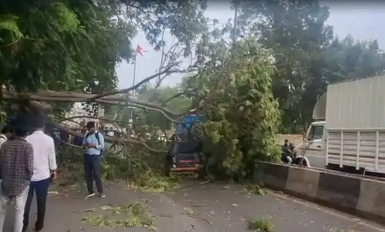Gujarat: 14 people died due to lightning and heavy rain, IMD released