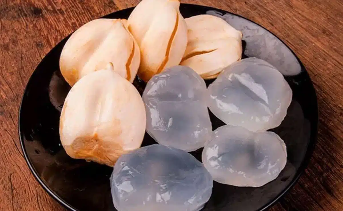 ice apple Ice Apple Juice Recipe: Make this tasty and healthy drink this summer, know the benefits