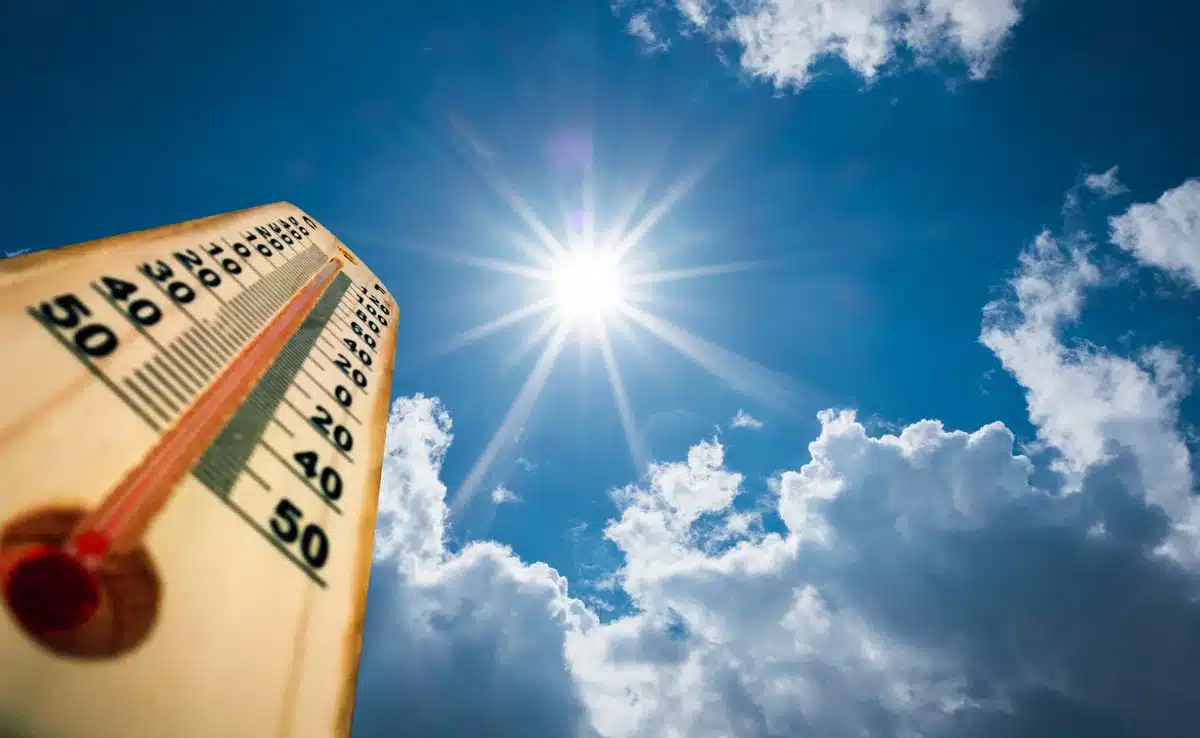 rising temperatures IMD predicts heavy rains, thunderstorms in parts of India in next few days