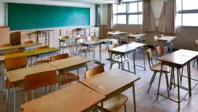 Peace on borders after India-Pakistan ceasefire, schools open in Jammu and Kashmir