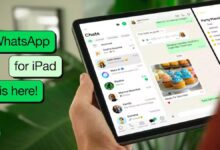 WhatsApp introduces new app for iPad users, with stage manager and multiwindow support