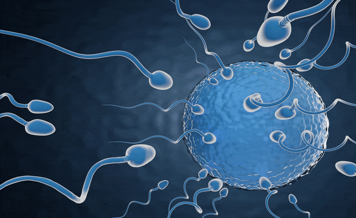 Miracle of AI: A woman who failed IVF 15 times became pregnant after 19 years