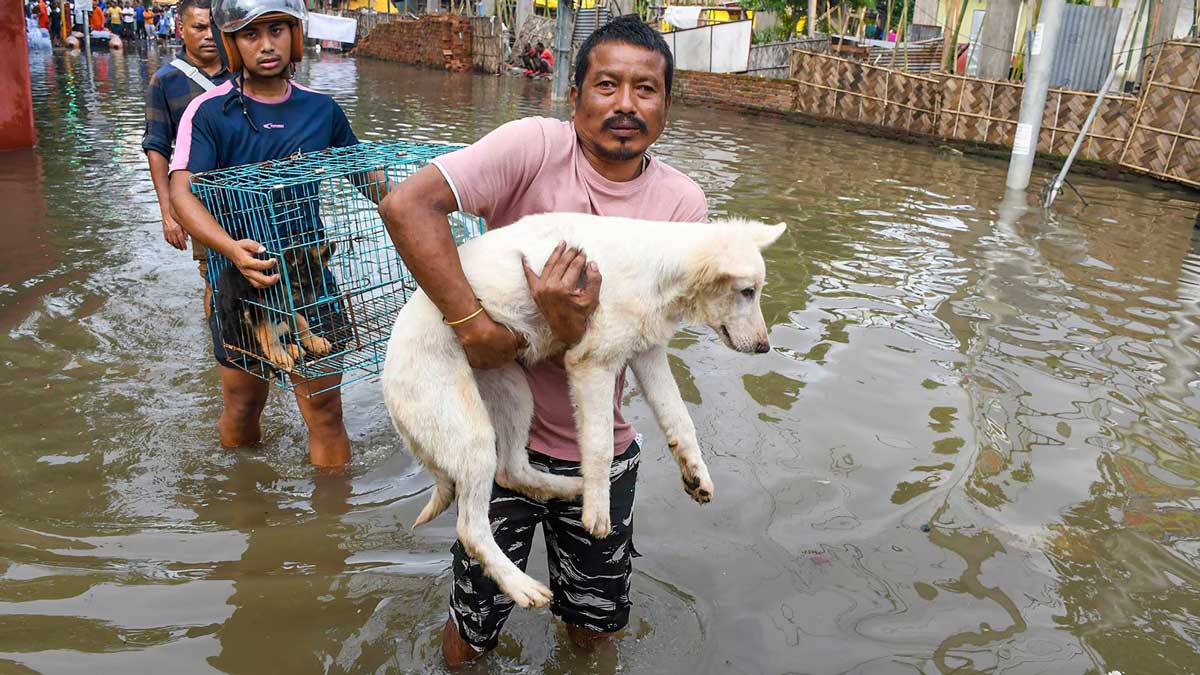Flood situation critical in Assam