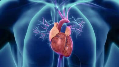 Heart Blockage: 7 Ayurvedic Remedies to Open Blocked Arteries Naturally