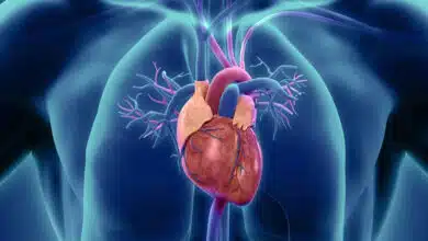 Heart Blockage: 7 Ayurvedic Remedies to Open Blocked Arteries Naturally