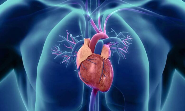 Heart Blockage: 7 Ayurvedic Remedies to Open Blocked Arteries Naturally
