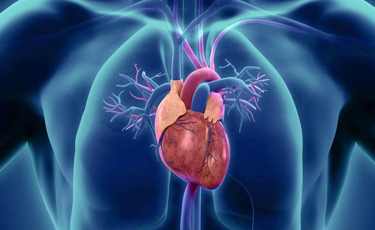 Heart Blockage: 7 Ayurvedic Remedies to Open Blocked Arteries Naturally