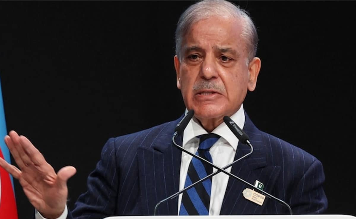 Shehbaz Sharif admits that Pakistan roams around the world with a 'begging bowl'