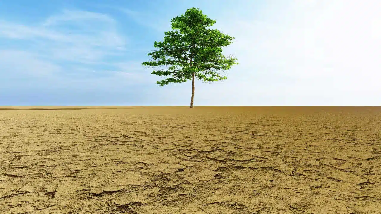 Temperatures in Asia are almost twice the global average