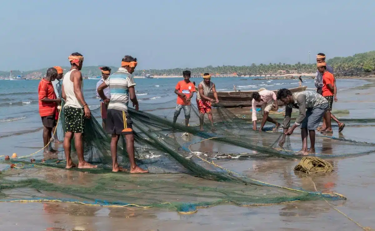 Odisha Weather Update: IMD predicts heavy rains till June 24, issues alert for 14 districts