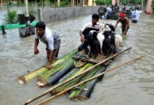 Rain wreaks havoc in Northeast: 25 people died due to landslides and flash floods