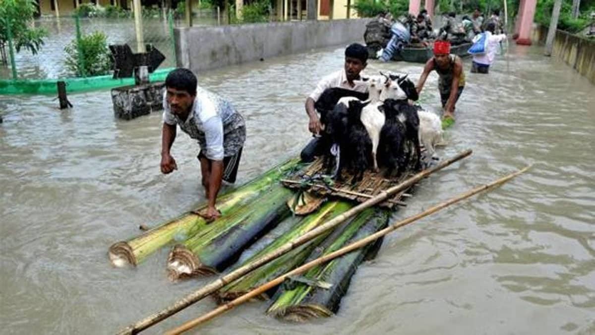 Rain wreaks havoc in Northeast: 25 people died due to landslides and flash floods