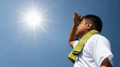 Delhi-NCR in the grip of severe heat, red alert issued as temperature reaches 52 degrees Celsius