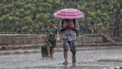 Odisha Weather Update: IMD predicts heavy rains till June 24, issues alert for 14 districts