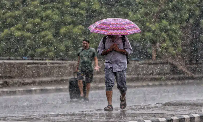 Odisha Weather Update: IMD predicts heavy rains till June 24, issues alert for 14 districts