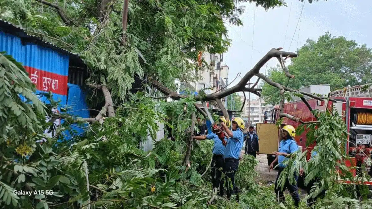 Maharashtra: 3 killed as entrance gate collapses at Chhatrapati Sambhajinagar's Siddharth Garden