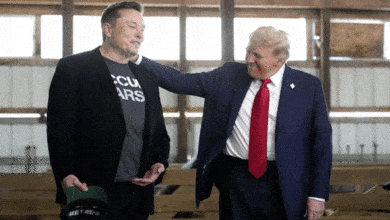 Trump praised Elon Musk's apology, White House gave information