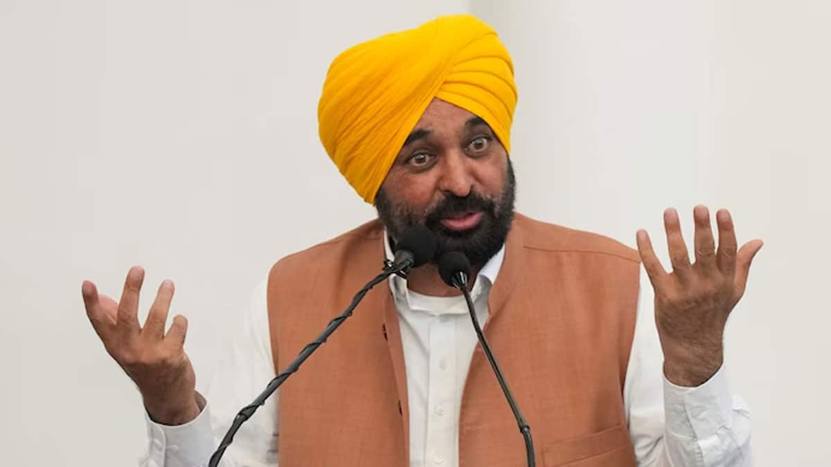 Bhagwant Mann's comment on PM Modi's foreign visit is 'irresponsible': Foreign Ministry