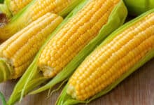 Is Corn Good Or Bad For Diabetes?