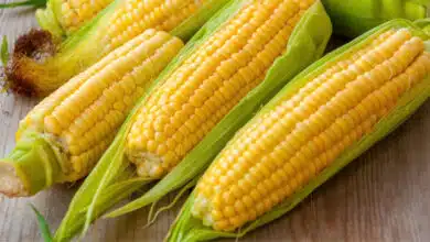 Is Corn Good Or Bad For Diabetes?