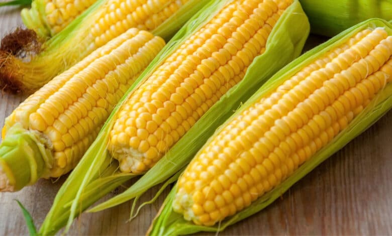 Is Corn Good Or Bad For Diabetes?