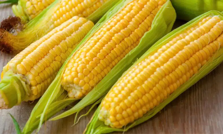 Is Corn Good Or Bad For Diabetes?