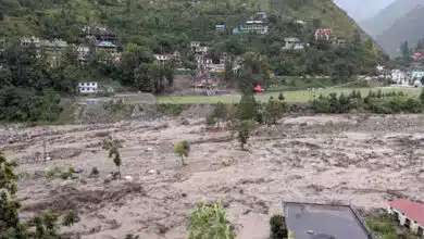 Monsoon havoc in Himachal Pradesh: 37 dead, 40 missing; IMD issues orange alert