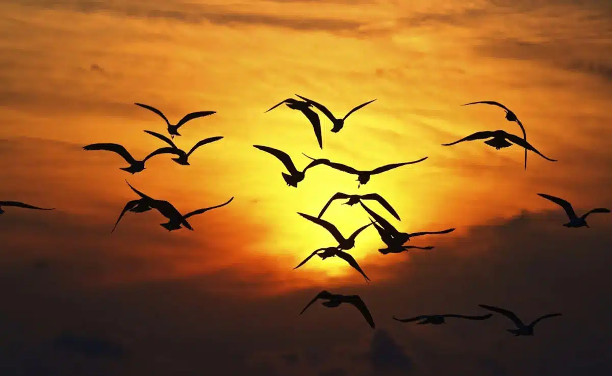 6 most strange villages of India, which are hard to believe