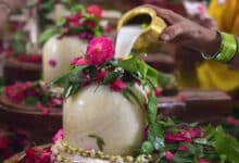 Sawan Shivratri 2025: Chant this mantra while offering Belpatra on Shivling today