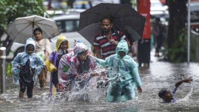 Due to heavy rains in Kerala, rivers are in spate, dams are opened, flood warning issued in many districts