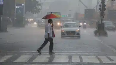 Heavy rain warning in MP, Orange alert issued for 10 districts