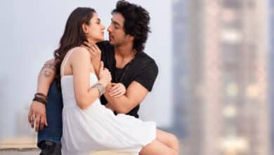 Saiyaara Box Office Day 10: Ahaan Pandey's film earns Rs 30 crore on second Sunday