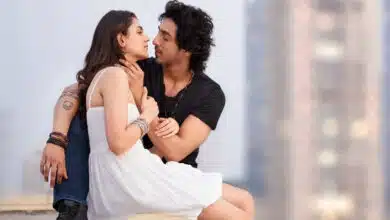 Saiyaara Box Office Day 10: Ahaan Pandey's film earns Rs 30 crore on second Sunday