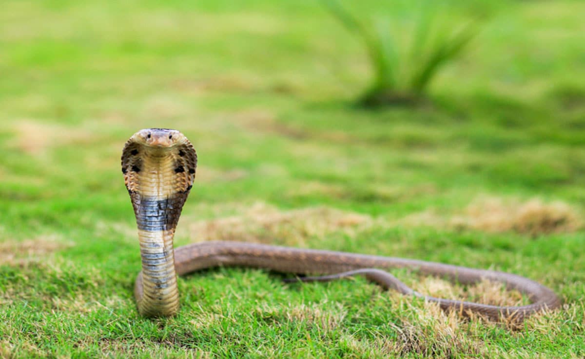 6 most strange villages of India, which are hard to believe