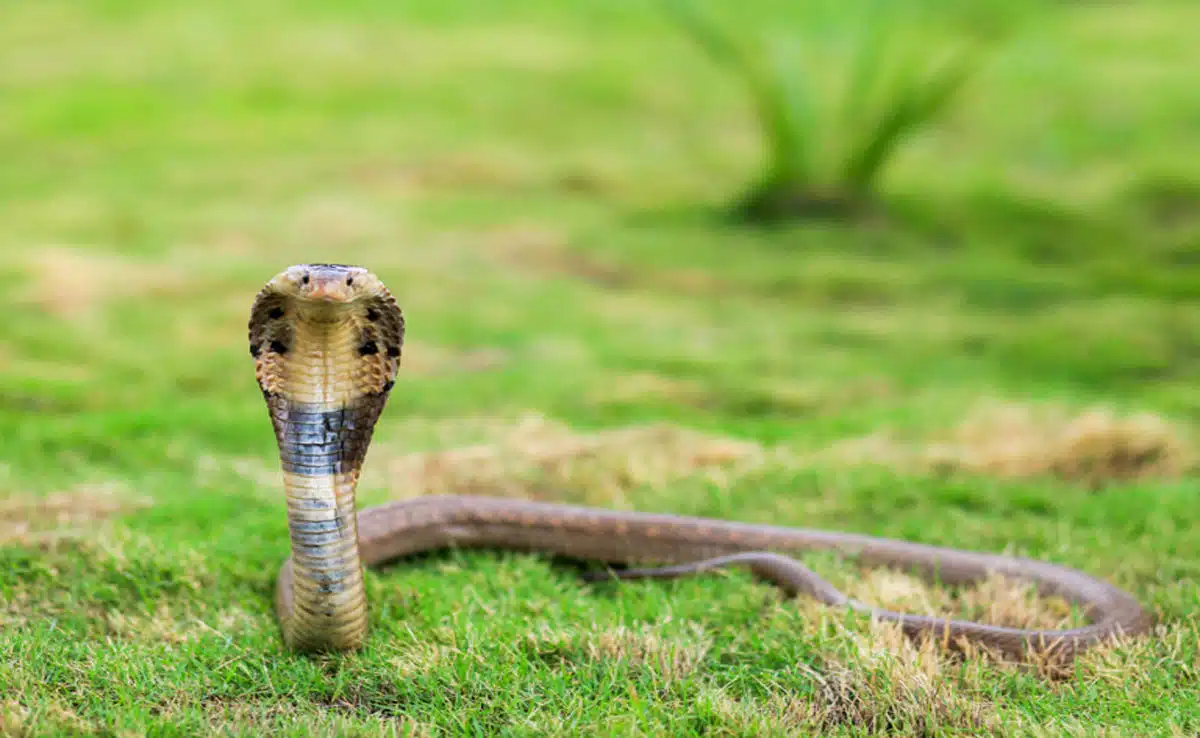 6 most strange villages of India, which are hard to believe