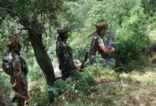 3 terrorists killed in an encounter with security forces in Dachigam, Srinagar