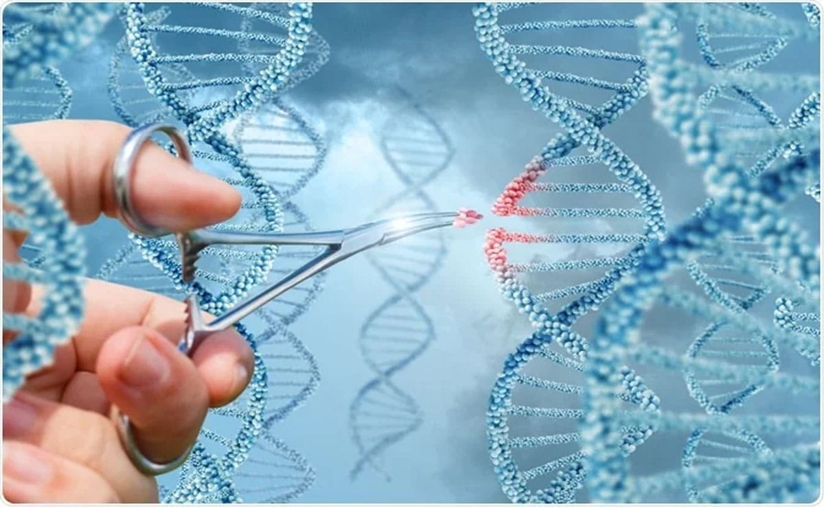 NIPGR developed gene-edited japonica rice