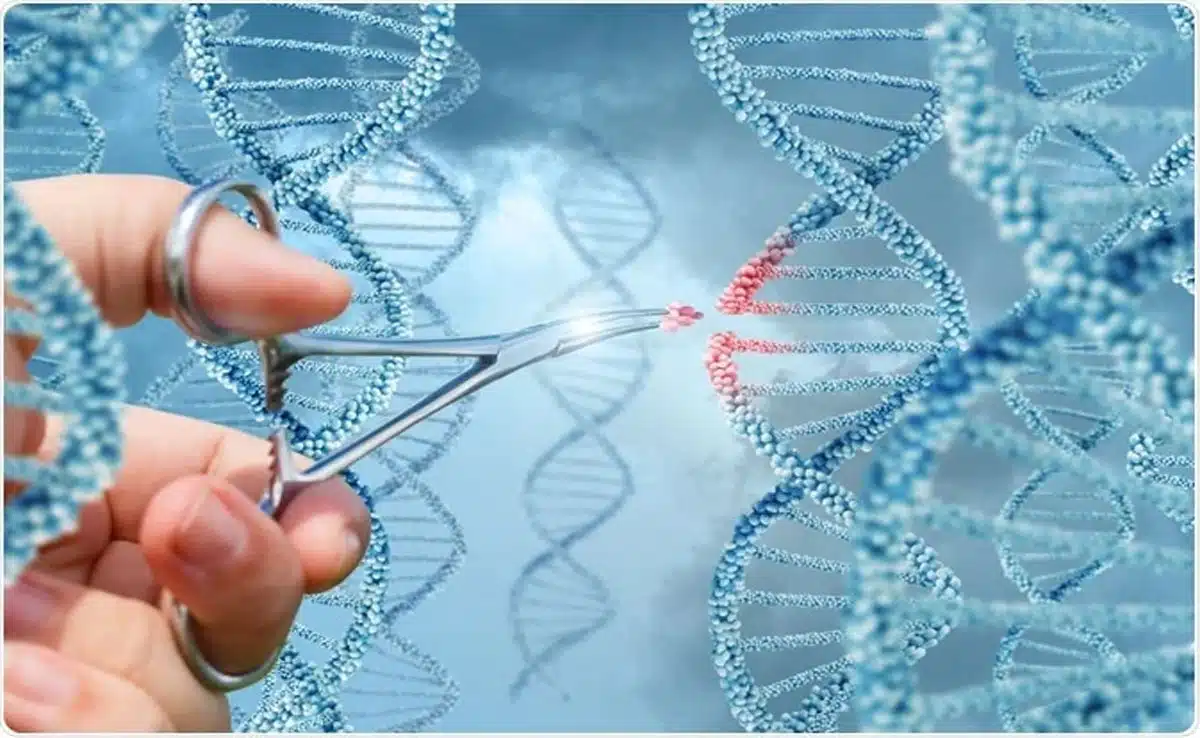 NIPGR developed gene-edited japonica rice