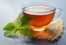 Do you drink Green Tea on an empty stomach in the morning? Know the right time to drink it