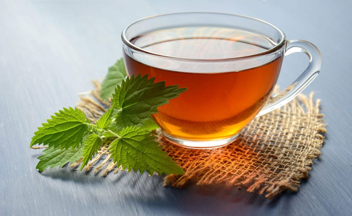 Do you drink Green Tea on an empty stomach in the morning? Know the right time to drink it