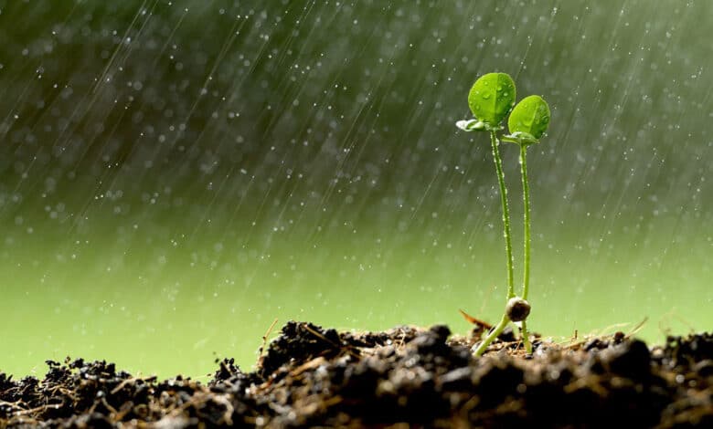 'Yellow alert' in Delhi, possibility of rain and thunderstorm