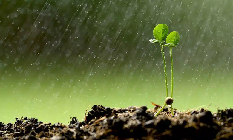 'Yellow alert' in Delhi, possibility of rain and thunderstorm