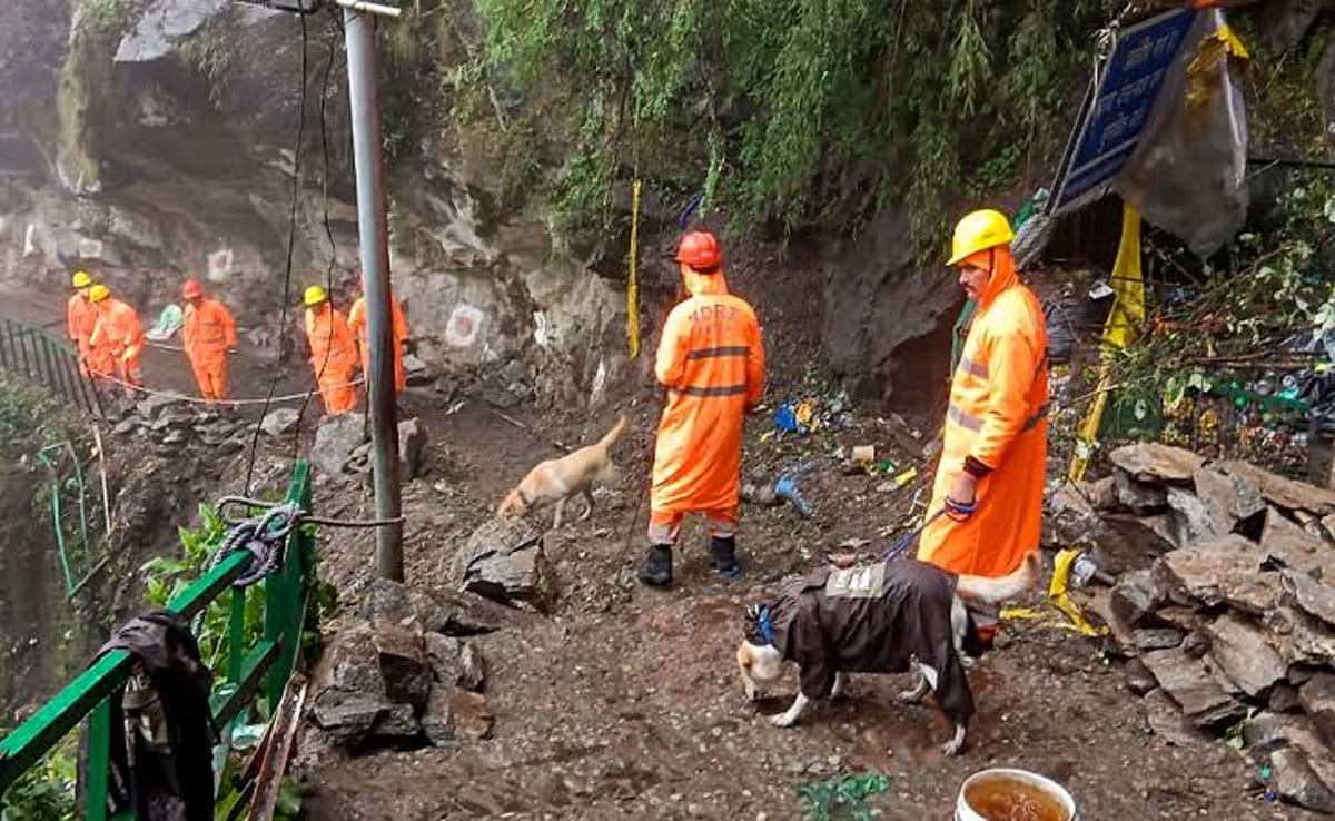 Uttarkashi Cloudburst: Moderate rain likely in Dharali, rescue operations underway; over 400 people rescued